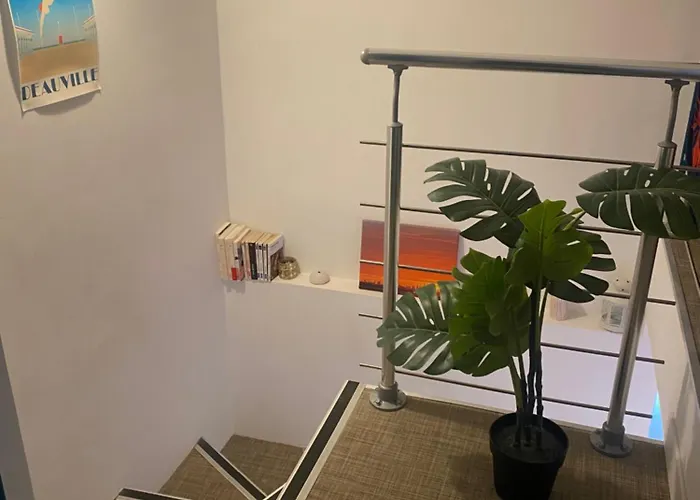 La Marina Du Bonheur * Deauville